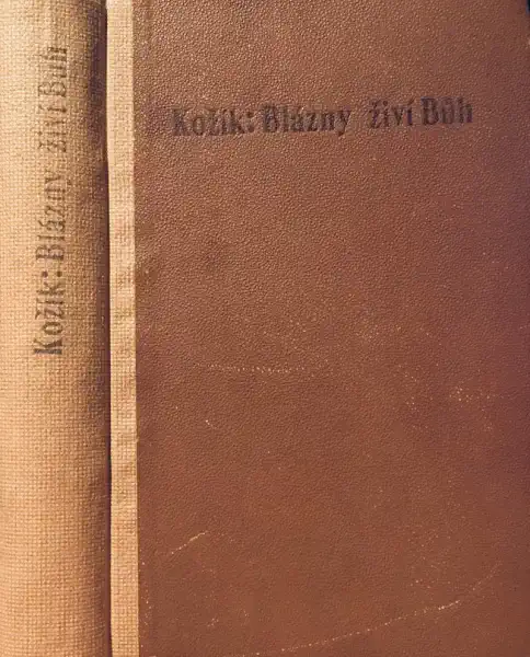 Blázny živí Bůh - František Kožík /bazarové zboží/