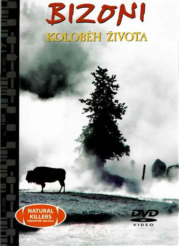 Bizoni - koloběh života - DVD + brožura/bazarové zboží/