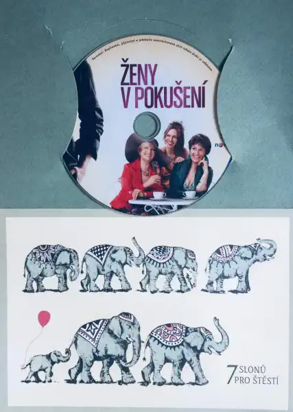 Ženy v pokušení - DVD /dárkový obal/