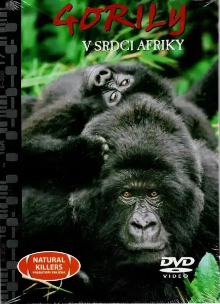 Gorily - V srdci Afriky - DVD + brožur/bazarové zboží/