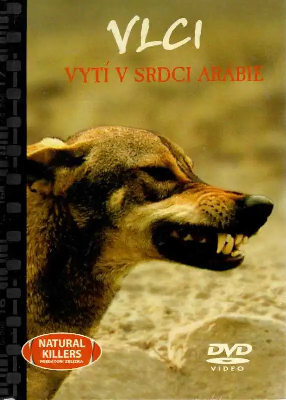 Vlci - vytí v srdci Arábie - DVD + brožura /bazarové zboží/