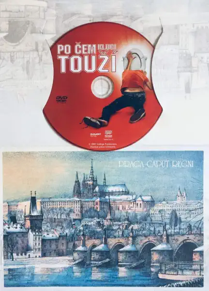 Po čem kluci touží - DVD /dárkový obal/