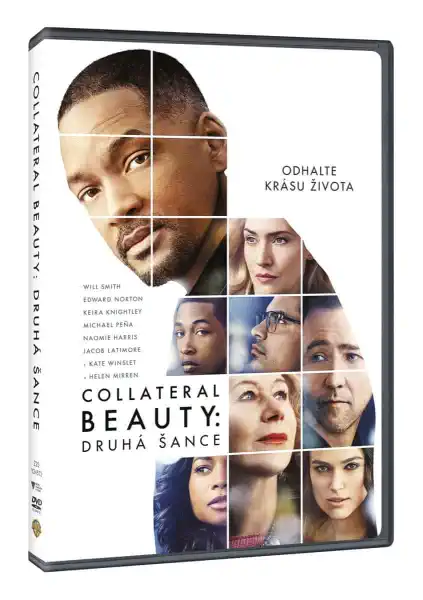 Collateral Beauty: Druhá šance - DVD /Plast/