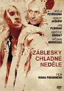 Záblesky chladné neděle - DVD /Plast/