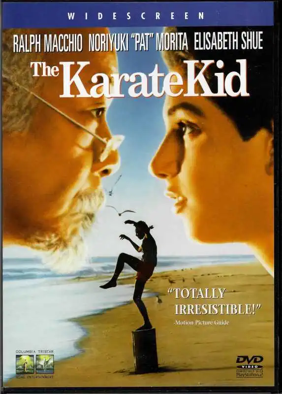 The Karate Kid - DVD plast /bazarové zboží/