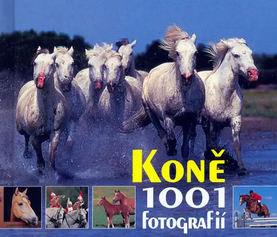 Koně - 1001 fotografií - Rebo Production /bazarové zboží/