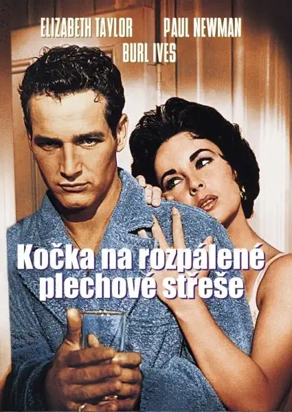 Kočka na rozpálené plechové střeše - DVD /plast,slim/