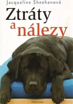 Ztráty a nálezy - Jacqueline Sheehanová