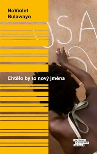 Chtělo by to nový jména - NoViolet Bulawayo