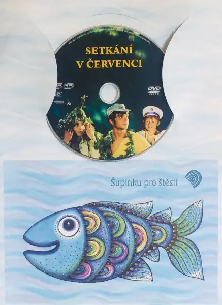 Setkání v červenci - DVD /dárkový obal/