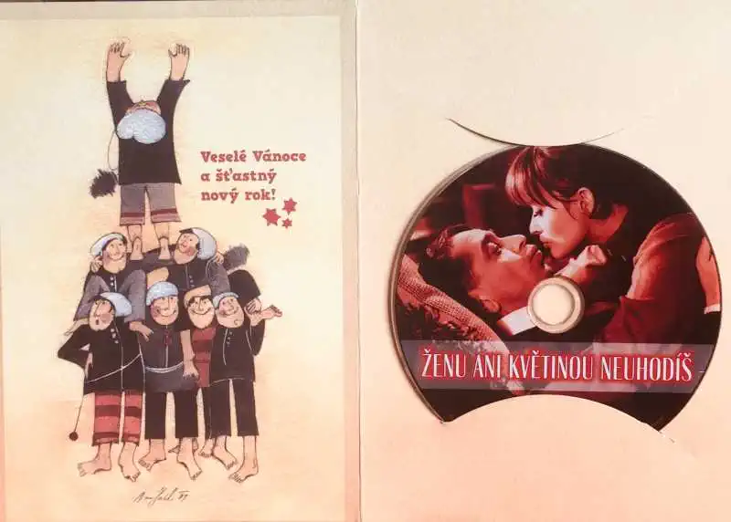 Ženu ani květinou neuhodíš - DVD /dárkový obal/