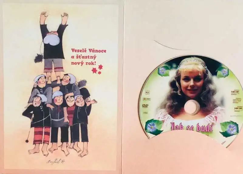 Jak se budí princezny - DVD /dárkový obal/