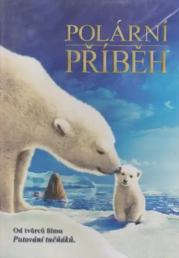 Polární příběh - DVD plast