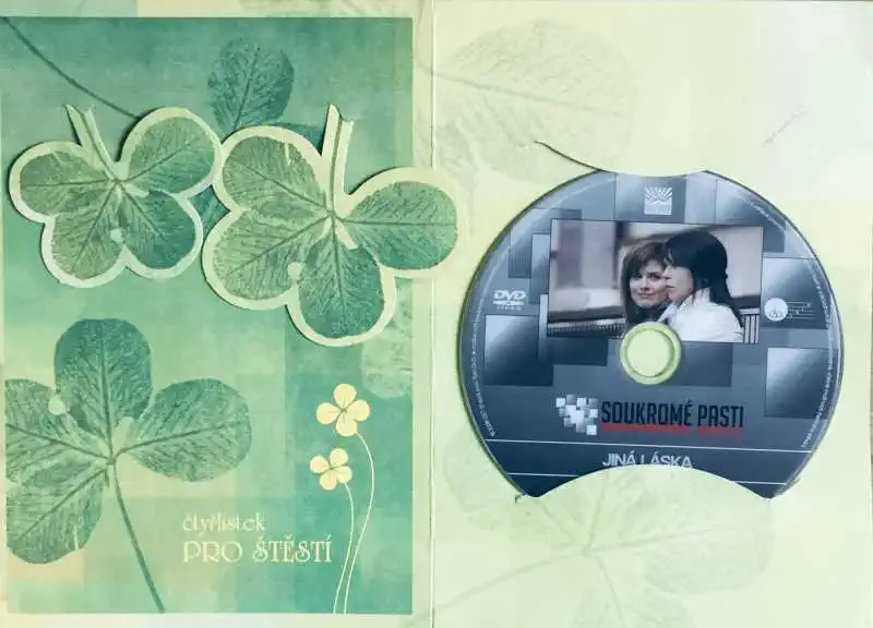 Soukromé pasti 3 - Jiná láska - DVD /dárkový obal/