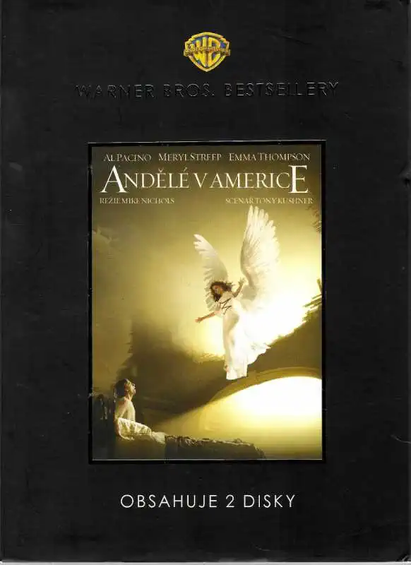Andělé v Americe - 2 DVD plast
