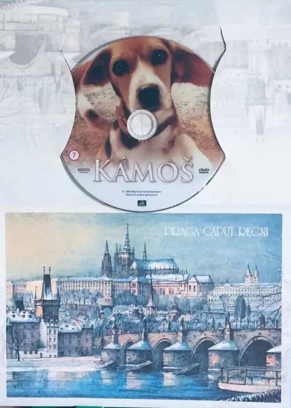 Kámoš - DVD /dárkový obal/