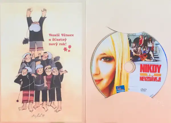 Nikdy to nevzdávej - DVD /dárkový obal/