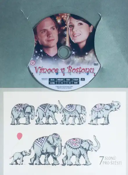 Vánoce v Bostonu - DVD /dárkový obal/