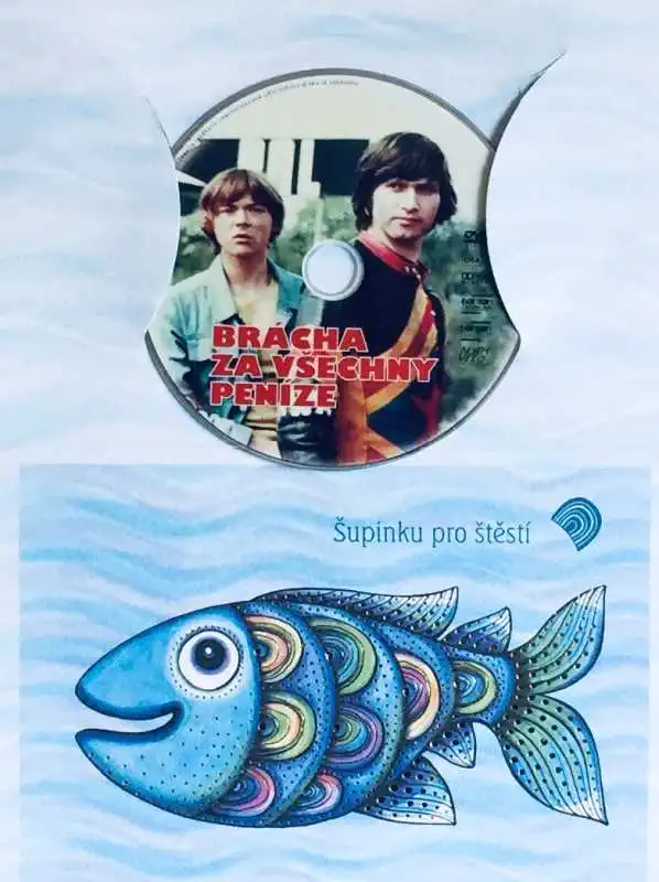 Brácha za všechny peníze - DVD /dárkový obal/