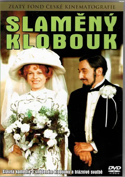 Slaměný klobouk - DVD plast