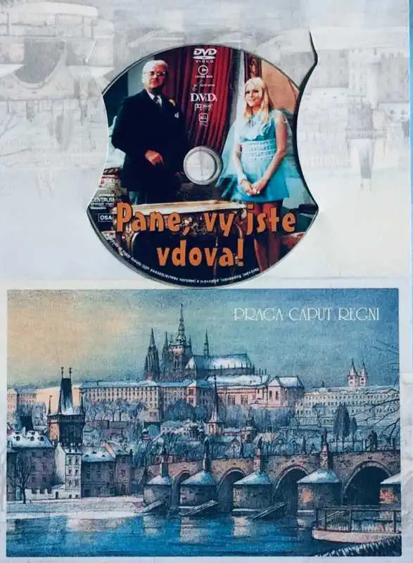 Pane, vy jste vdova! - DVD /dárkový obal/