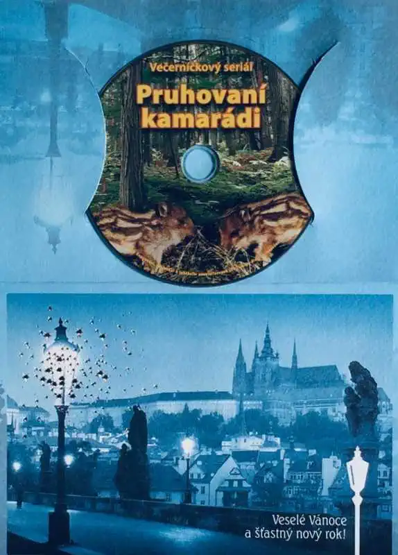Pruhovaní kamarádi - DVD /dárkový obal/