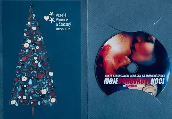 Moje borůvkové noci - DVD /dárkový obal/