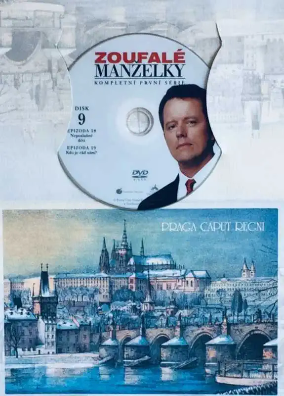 Zoufalé manželky 9 - série 1 - epizoda 18, 19 - DVD /dárkový obal/