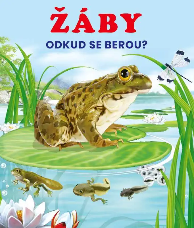 Žáby - Odkud se berou? - Kolektiv autorů