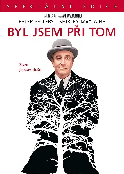 Byl jsem při tom - Speciální edice - v originálním znění s CZ titulky - DVD /plast/