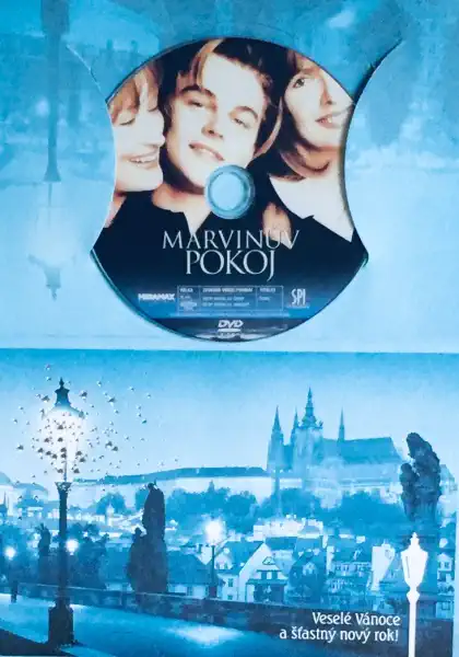 Marvinův pokoj - DVD /dárkový obal/