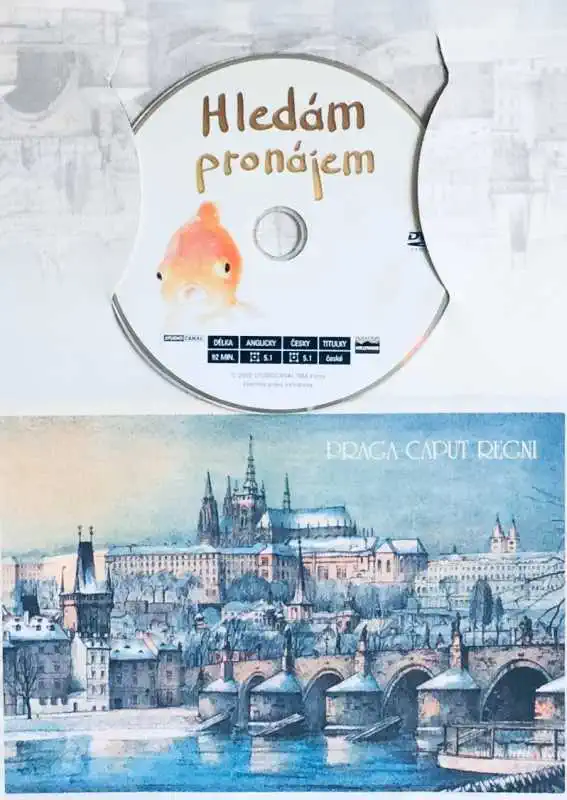 Hledám pronájem - DVD /dárkový obal/