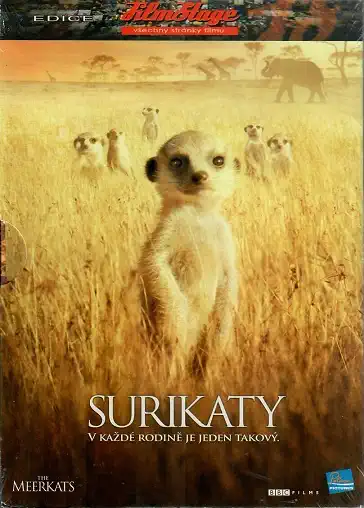 Surikaty ( digipack ) - DVD