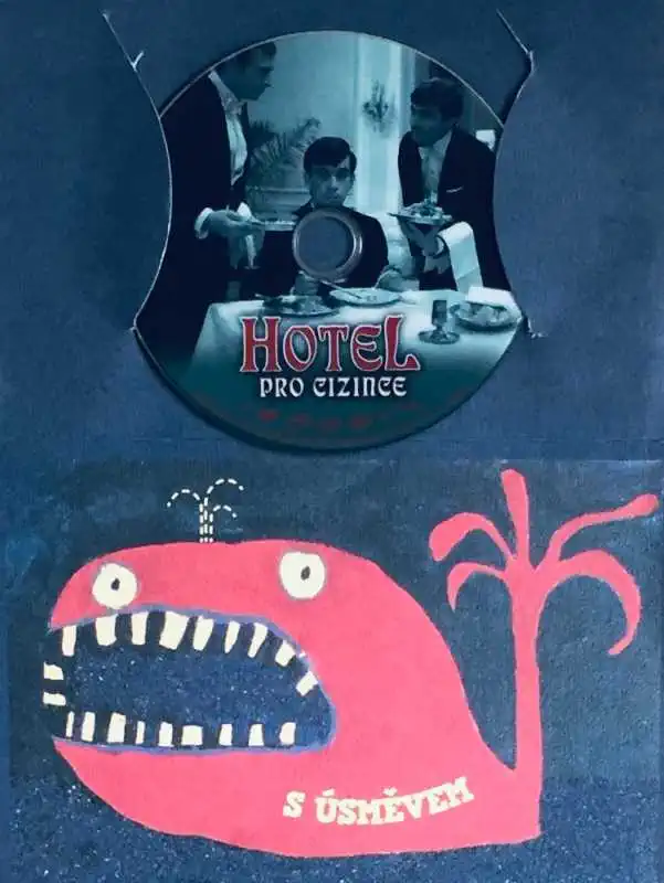Hotel pro cizince - DVD /dárkový obal/