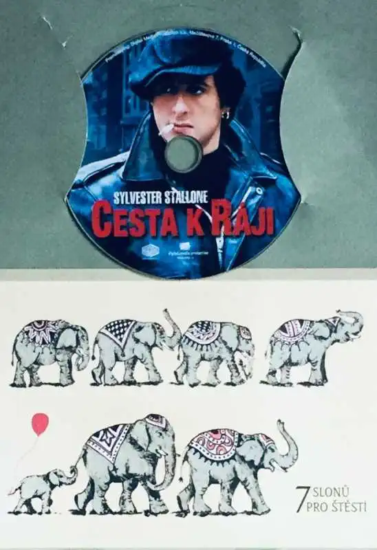 Cesta k ráji - DVD /dárkový obal/