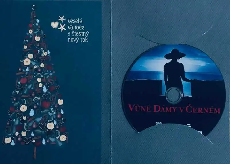 Vůně dámy v černém - DVD /dárkový obal/