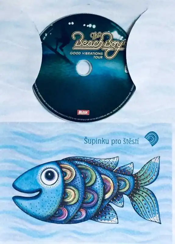 The Beach Boys - Good Vibrations Tour - DVD /dárkový obal/