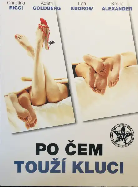 Po čem touží kluci - DVD /digipack/