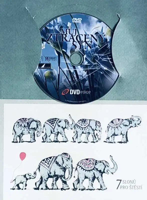Můj ztracený syn - DVD /dárkový obal/