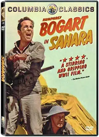 Sahara - v originálním znění s CZ titulky - DVD /plast/