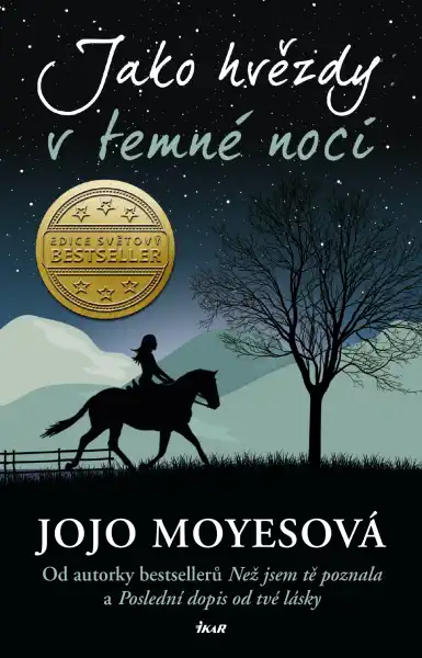 Jako hvězdy v temné noci - Jojo Moyesová