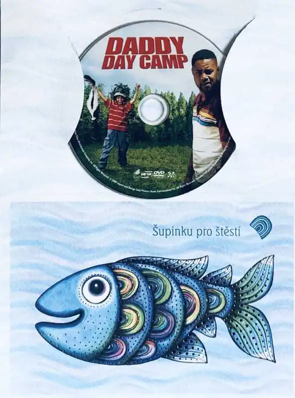 Daddy Day Camp / Bláznivej tábor - DVD /dárkový obal/