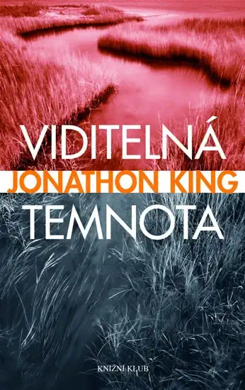 Viditelná temnota - Jonathon King /bazarové zboží/