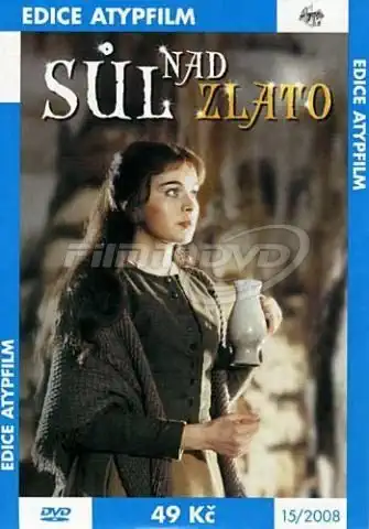 Sůl nad zlato /pošetka/