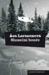 Sluneční bouře - Åsa Larsson /bazarové zboží/