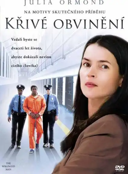 Křivé obvinění (plast)