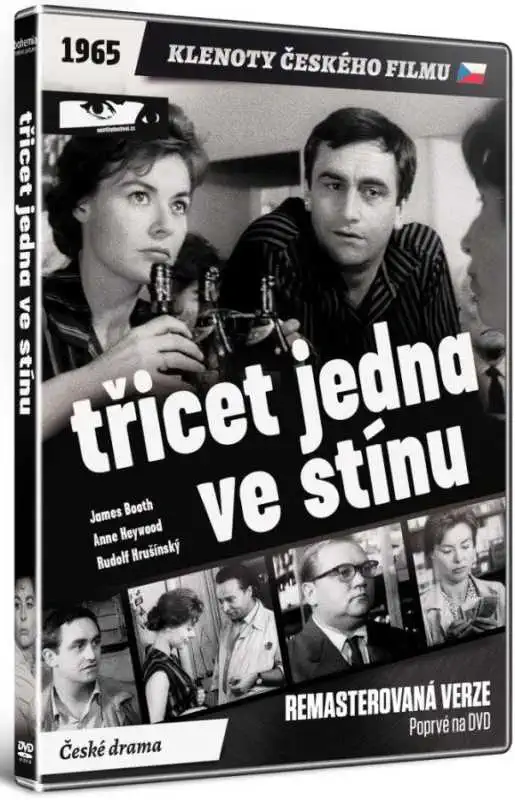 Třicet jedna ve stínu - DVD plast
