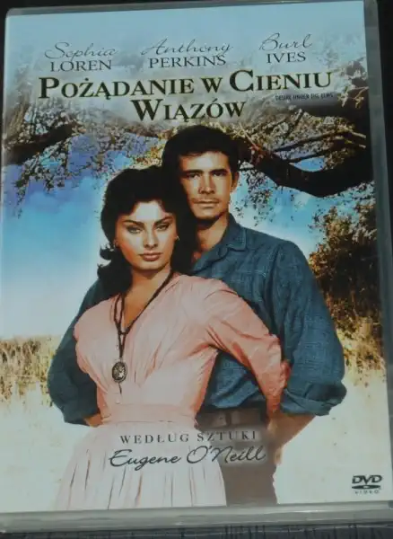 Pozadanie w cieniu wiazów - DVD plast