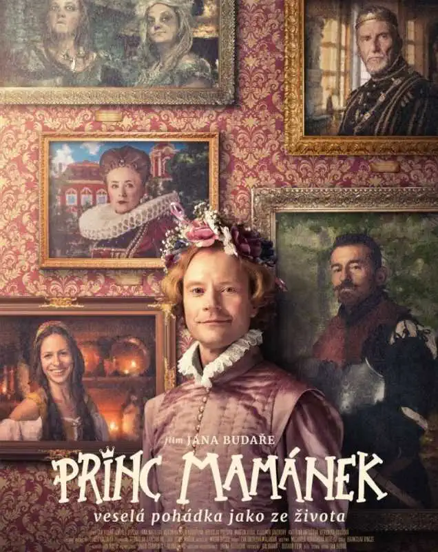 Princ Mamánek - DVD plast 