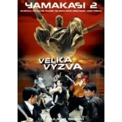 Yamakasi 2 - Velká výzva - DVD plast (bazarové zoží)